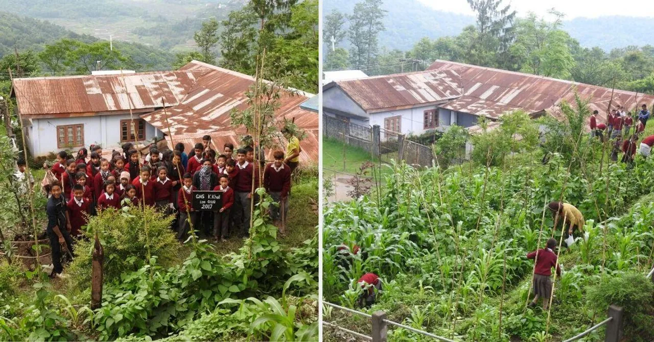 Nagaland School Kids Grow Their Own Organic Mid-Day Meals, Inspire Whole Village