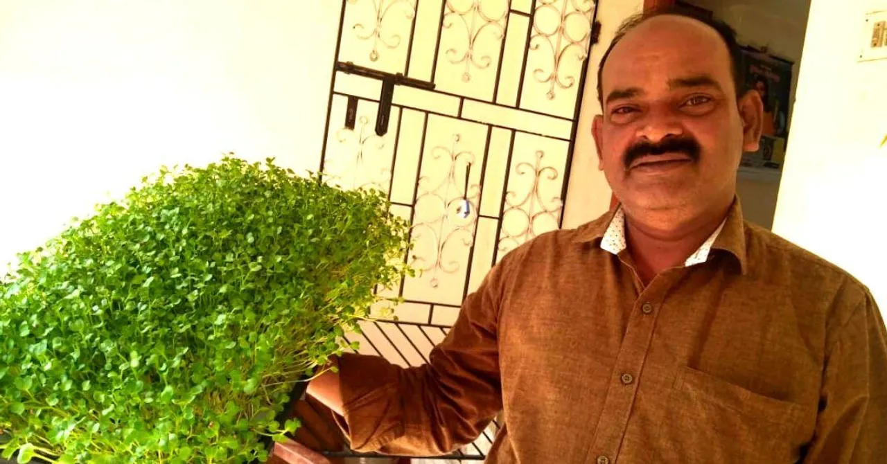 With a 10x10 Room, Chennai Entrepreneur Earns 80,000 Per Month From Microgreens!