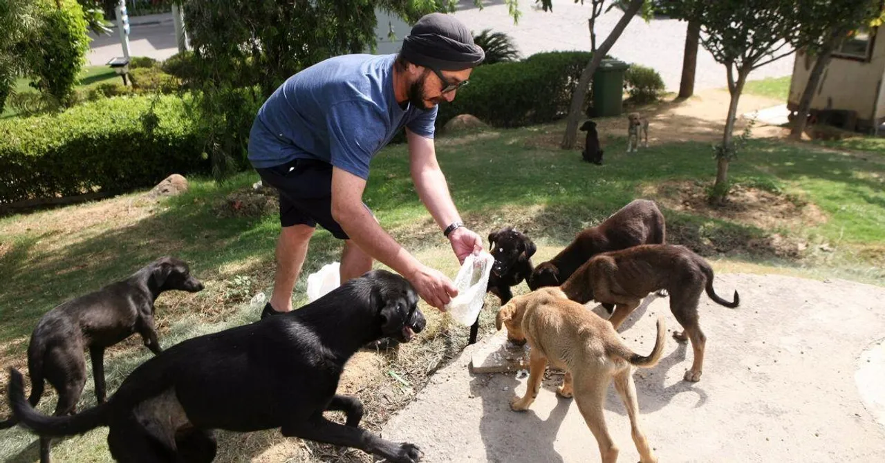 50-YO Delhi Man Arranges 50 Kg of Food Daily, Feeds 400+ Stray Dogs!