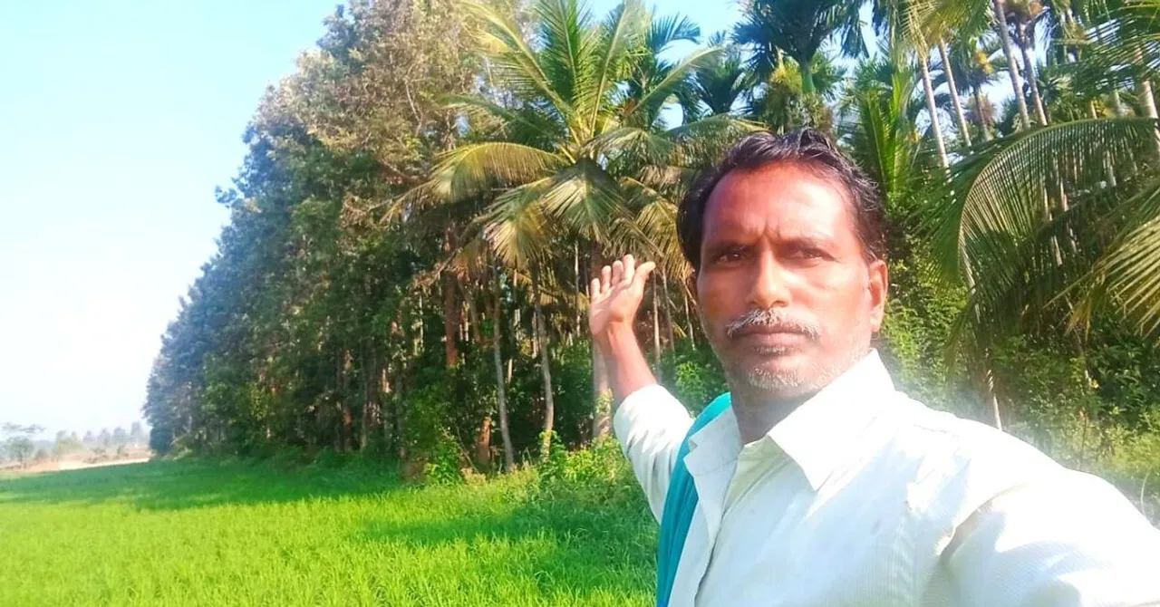 5-Layer Mini Forest in 5 Acre Land Boosts Karnataka Farmer's Annual Income to 25 Lakh!