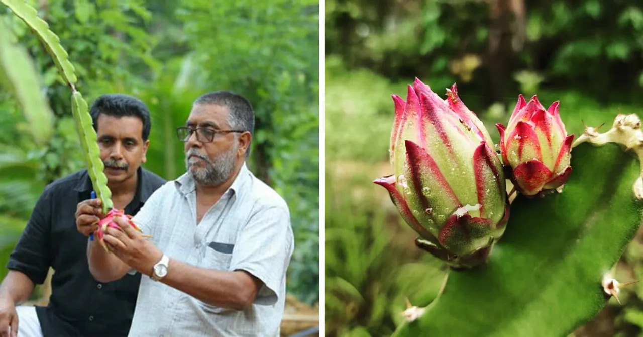 From Rare Fruits To Cows & Fish, Kerala Duo's 18 Acre Farmland Is A Must-Visit Wonder