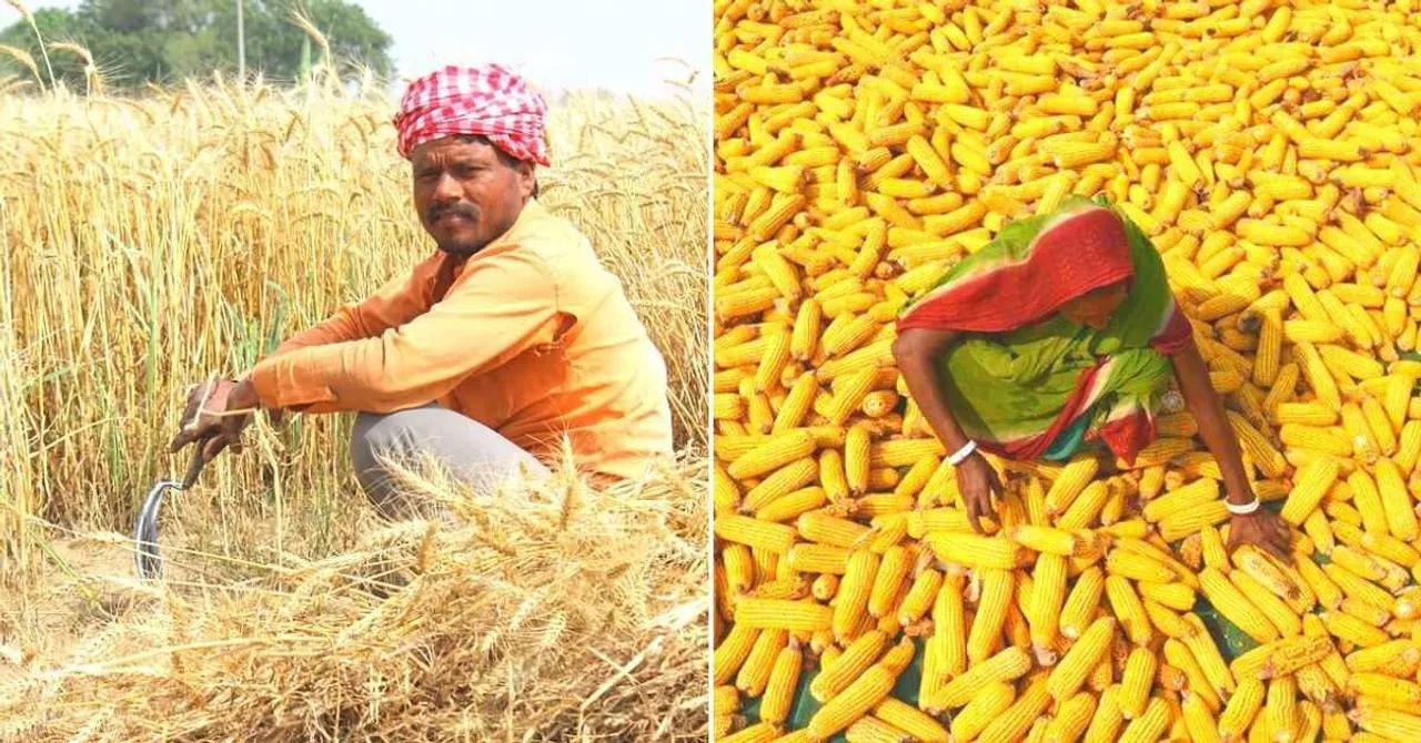 Here's How Experts Believe We Can Make India's Farmers Worry-Free