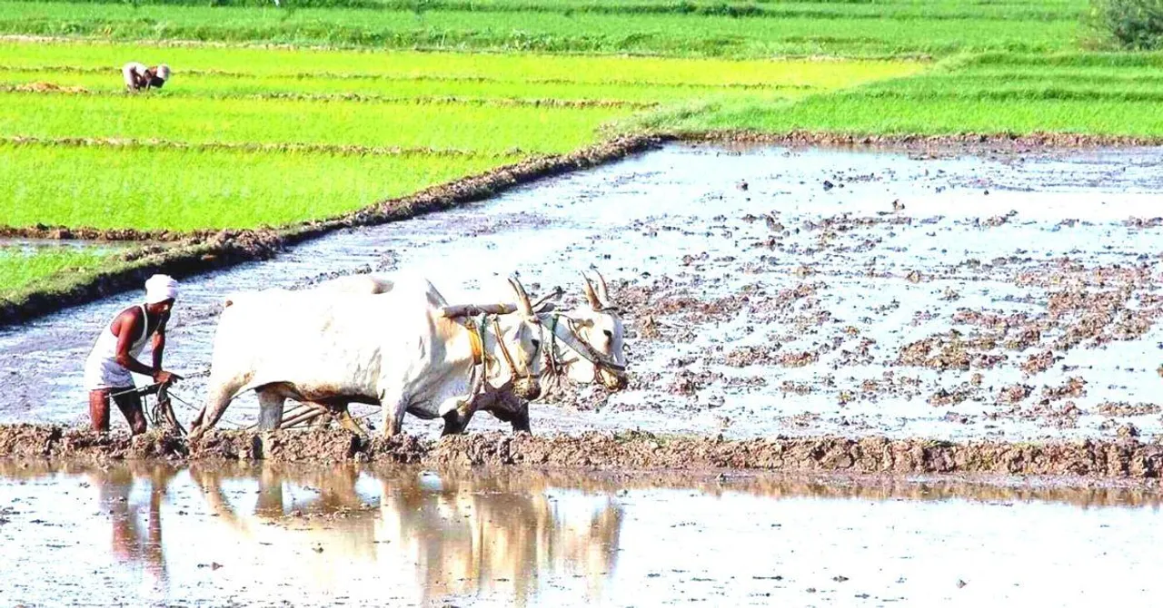 3 Entities Share The Private Sector Ideas That Can Transform India's Farmers