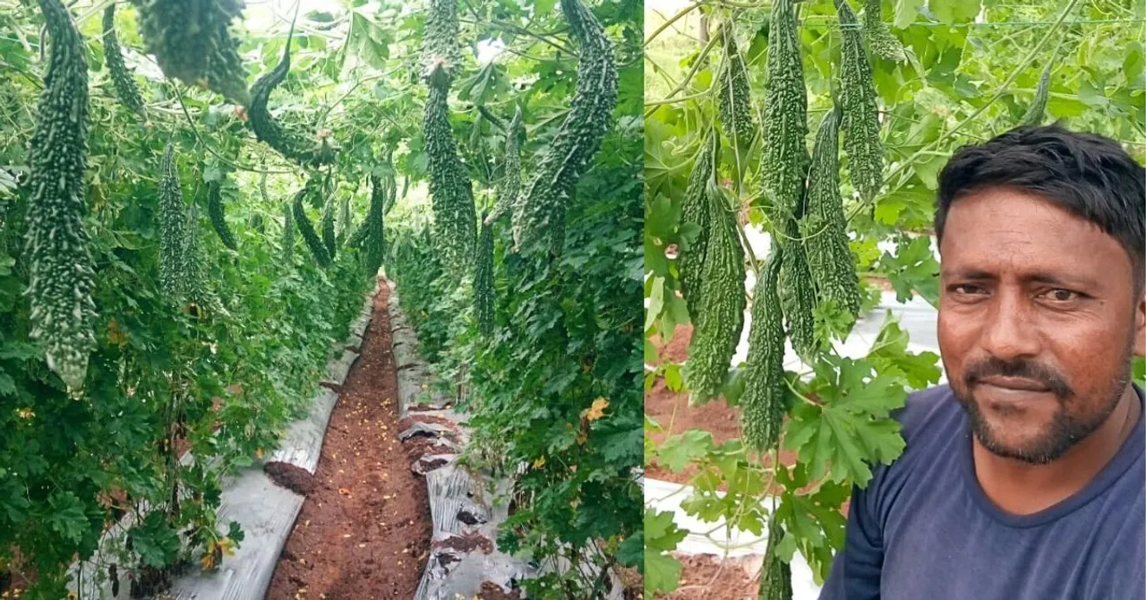 Once Rejected For a Job When he Didn't pay Bribe, Farmer Now Earns in Lakhs/Month