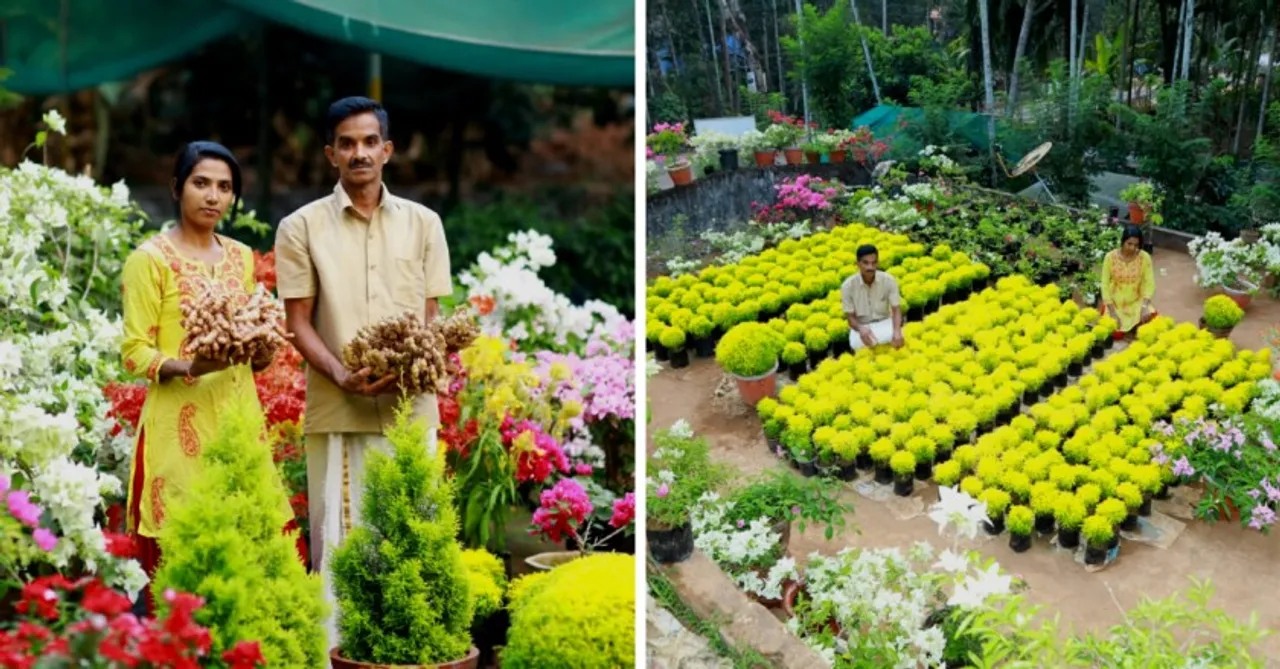 Kerala Couple Grow 34 Varieties of Bougainvillaea, Earn Rs 2 Lakh/Month