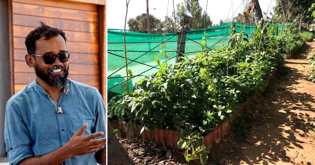 This Bengaluru Man Will Convince You to Grow And Eat Weeds, And They Are Delicious!
