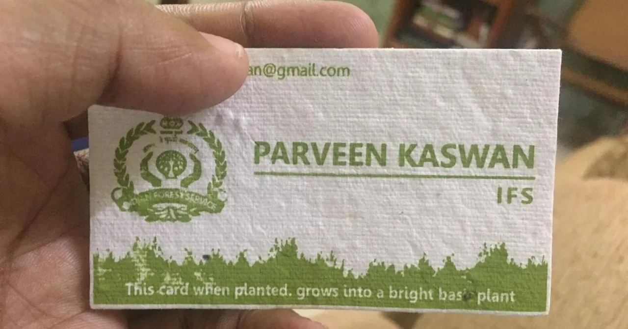 IFS Officer's Plantable Visiting Cards Go Viral, Here's How You Can Get Your Own