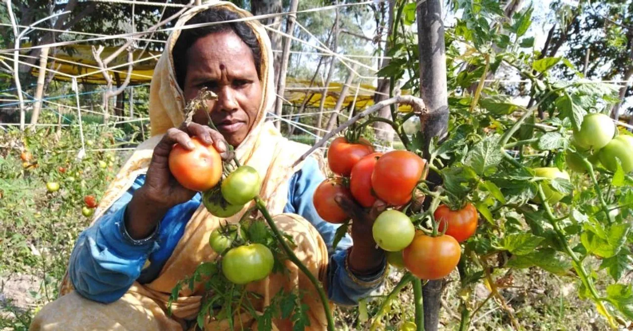 MP Farmer's Bumper Crops & Profits Convinces Farmers in 6 villages to Turn Organic