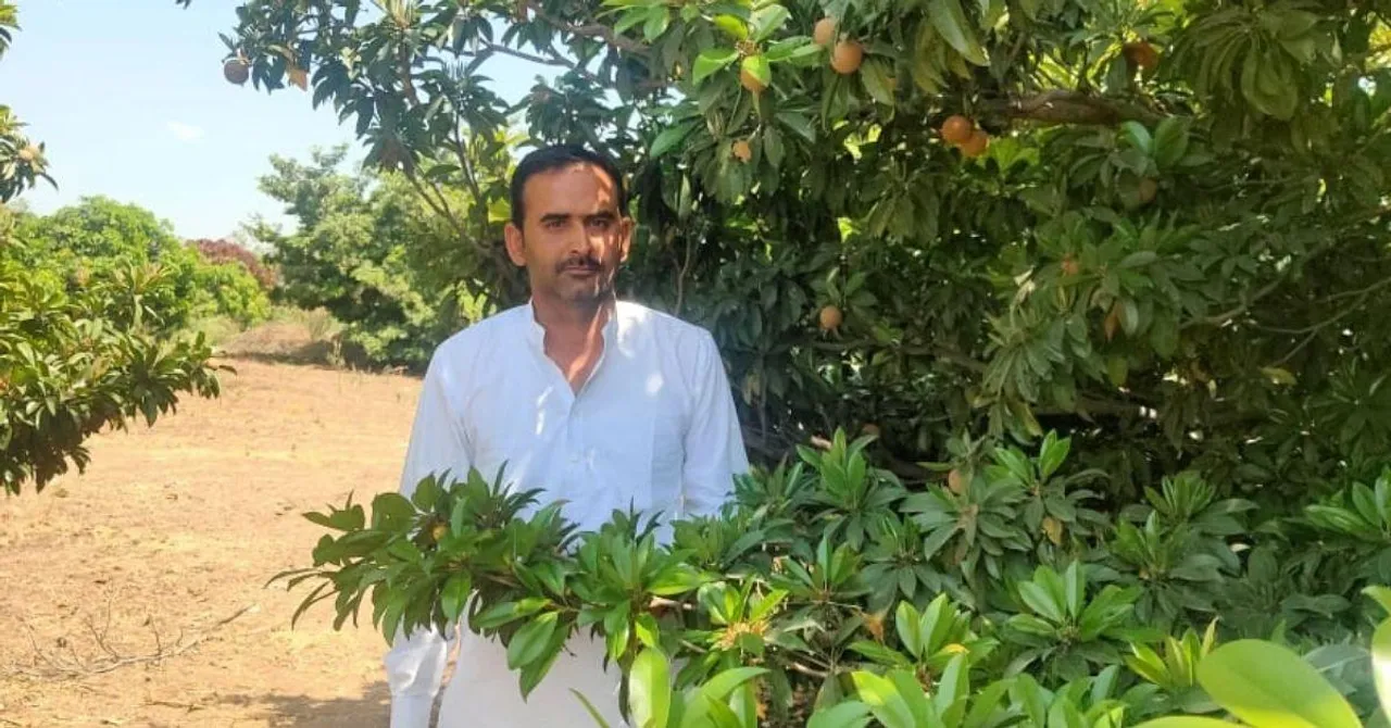 Rajasthan Farmer Grows 9000 Pomegranate Shrubs Despite Desert Storms, Earns Lakhs