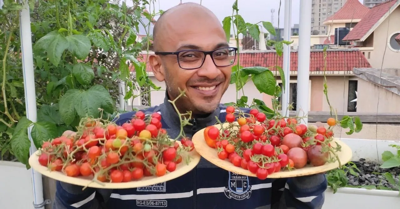 How to Grow 63 Varieties of Vegetables on Your Terrace Using a Few Buckets & Fish