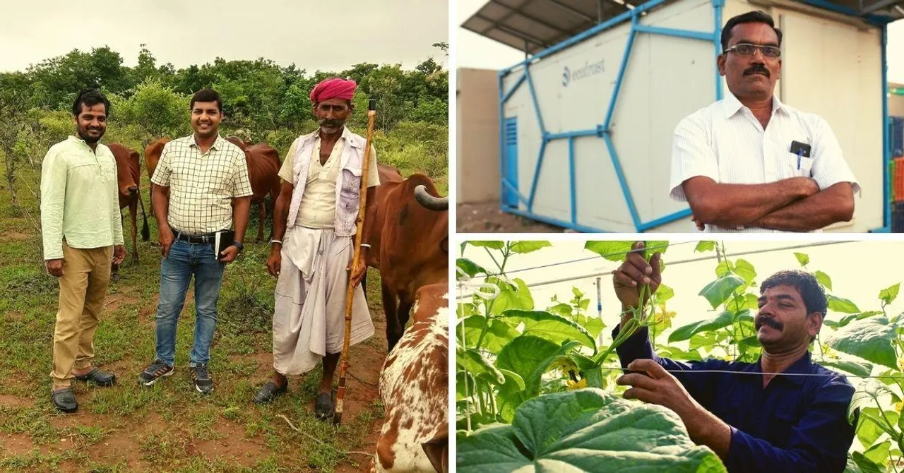 5 Fascinating Enterprises at the Forefront of the Zero Food Waste Movement