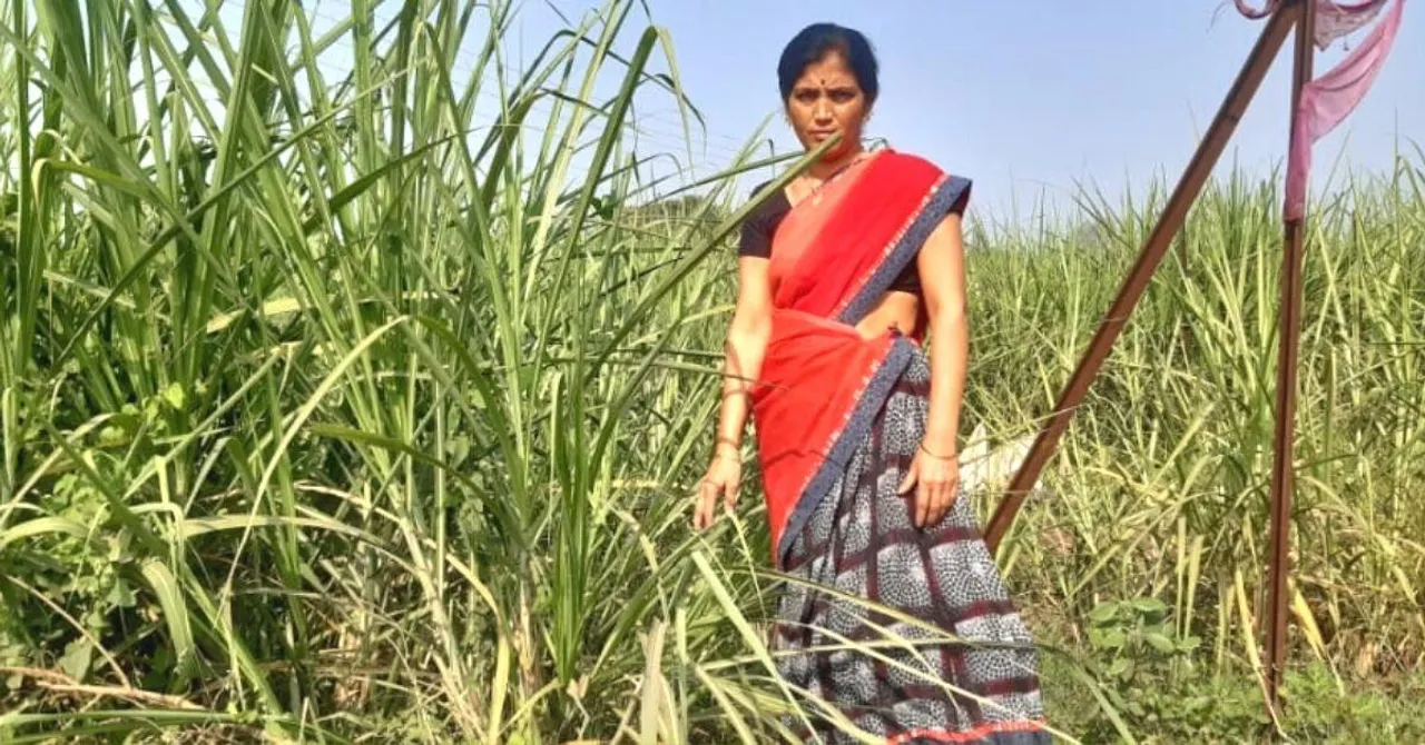 Inspiring Widow Clears Husband's Debts, Uplifts Whole Family Through Spice Business