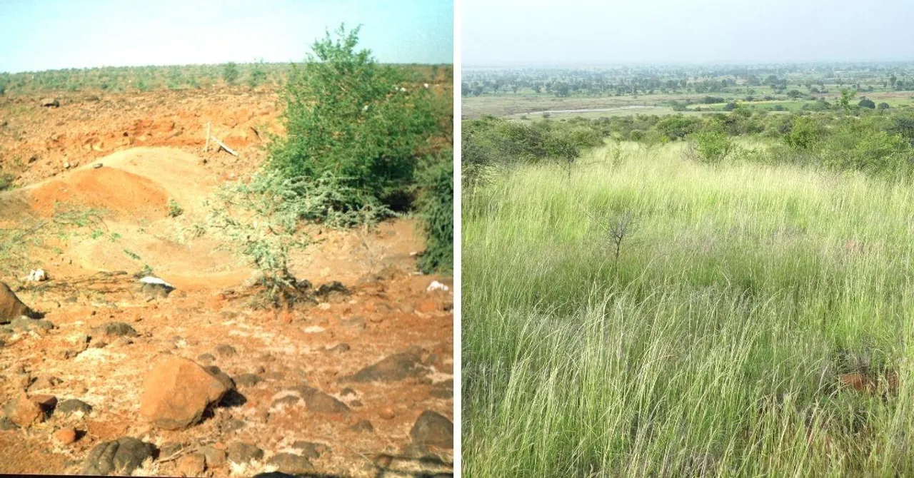 Maharashtra Man Beats Drought to Revive 400 Hectares, Makes Village Tanker-Free