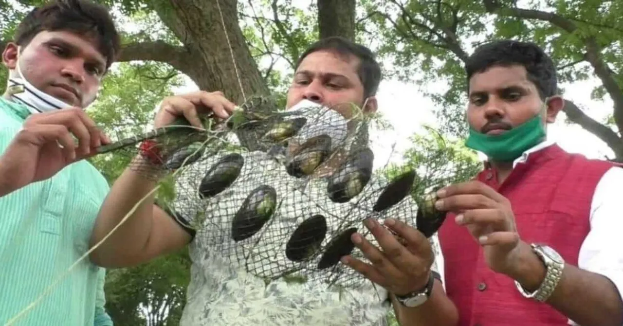 Brothers' Trio Quit Corporate Jobs to Start Pearl Farming All Over UP, Help 180 More