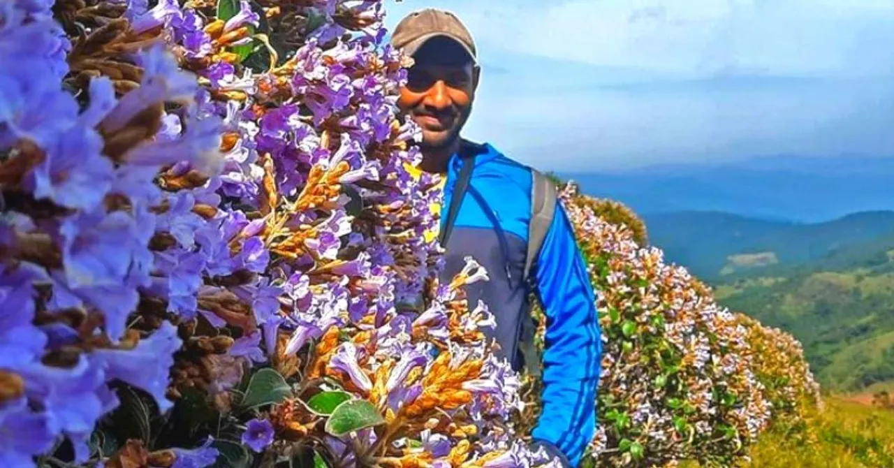 Engineer Returns From Europe to Save 200 Acres of Nilgiris' Ancient Shola Forests