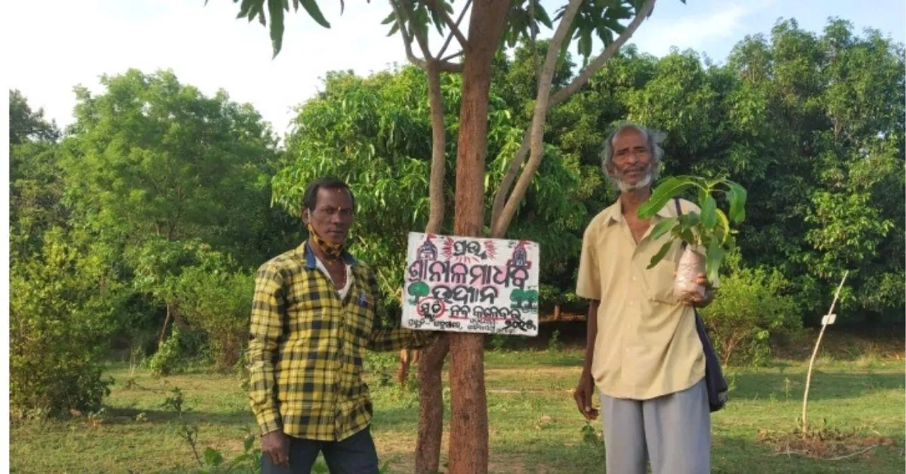 30,000 Trees, 1 Man: Meet Odisha's Incredible 75-Year-Old 'Tree Teacher'