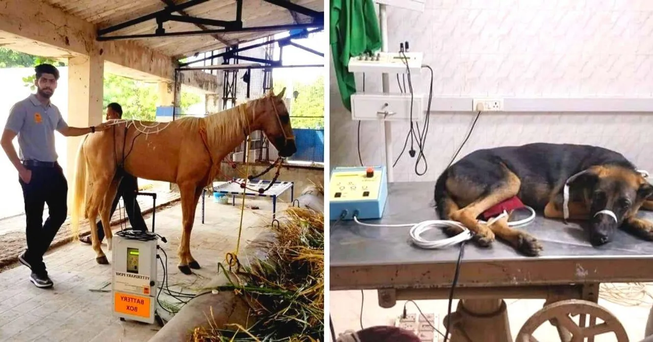 Family Uses NASA Tech To Heal Animals 50% Faster at 1/5th Cost