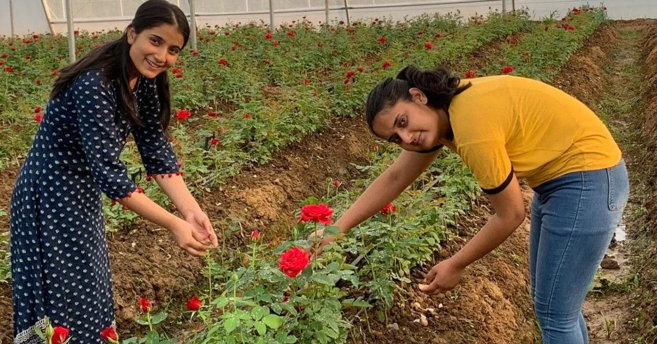 Inspired by YouTube, Jammu Sisters Set Up Udhampur's 1st 'Cut Flower' Polyhouse