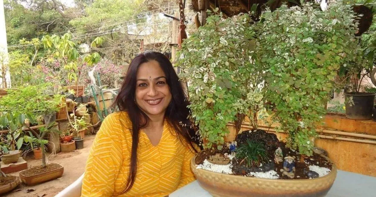 Woman Makes Award-Winning Bonsai Paradise With Mini Mangoes, Chikoos & More
