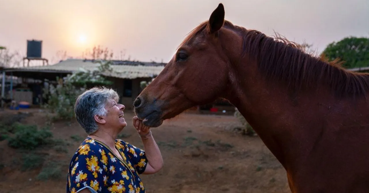 Inside a 69-YO Parsi Lady's 'Paradise' for 431 Rescued Animals