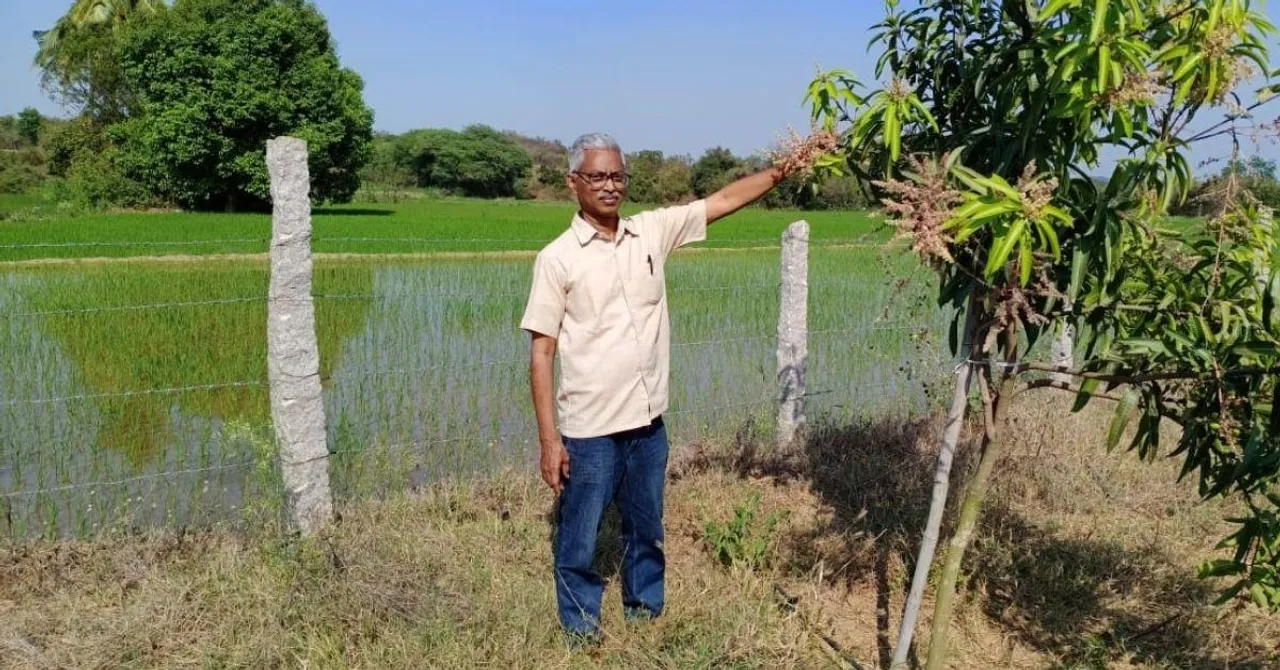 60-YO Farmer Helps Paddy, Sugarcane Grow on 400 Acres of 'Uncultivable' Alkaline Land