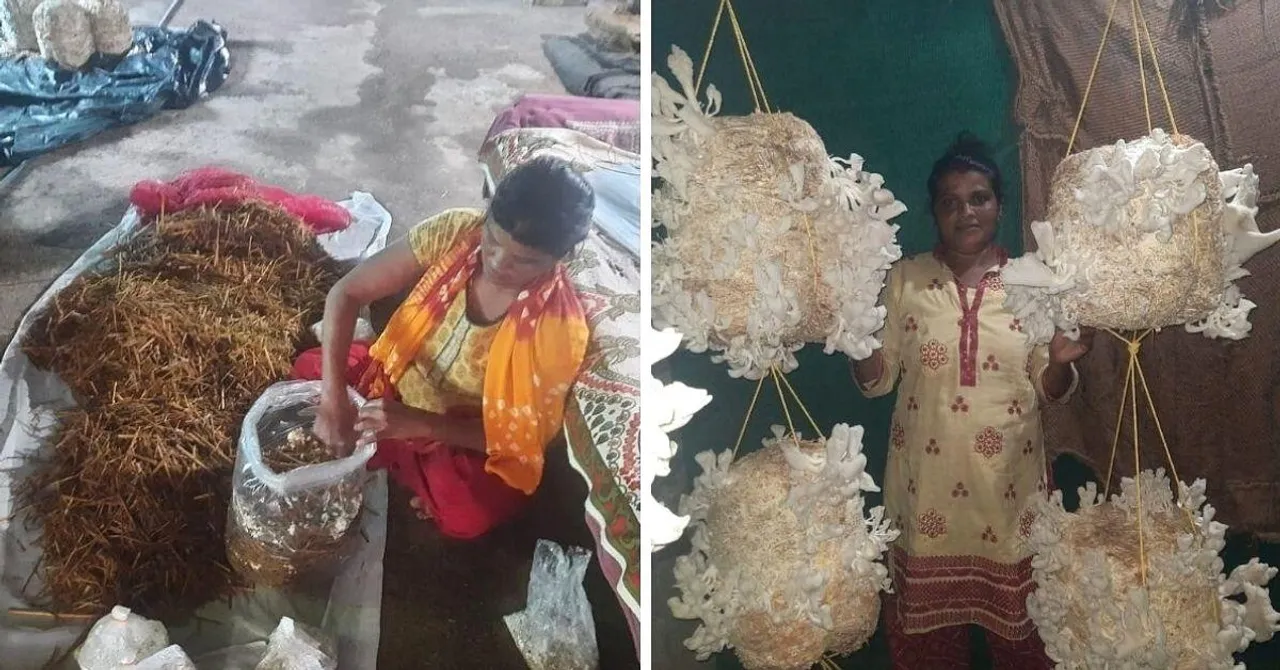 Gujarat Homemaker Went From Growing Mushrooms in 1 Room to Earning Rs 3.5 Lakh/Month