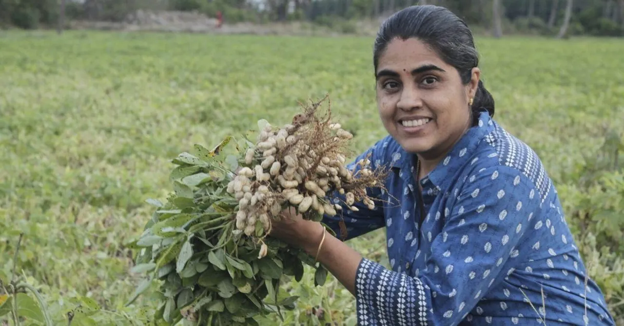 Millets to Mappillai Samba Rice, Chennai Woman Reinvents India's Ancient Grains