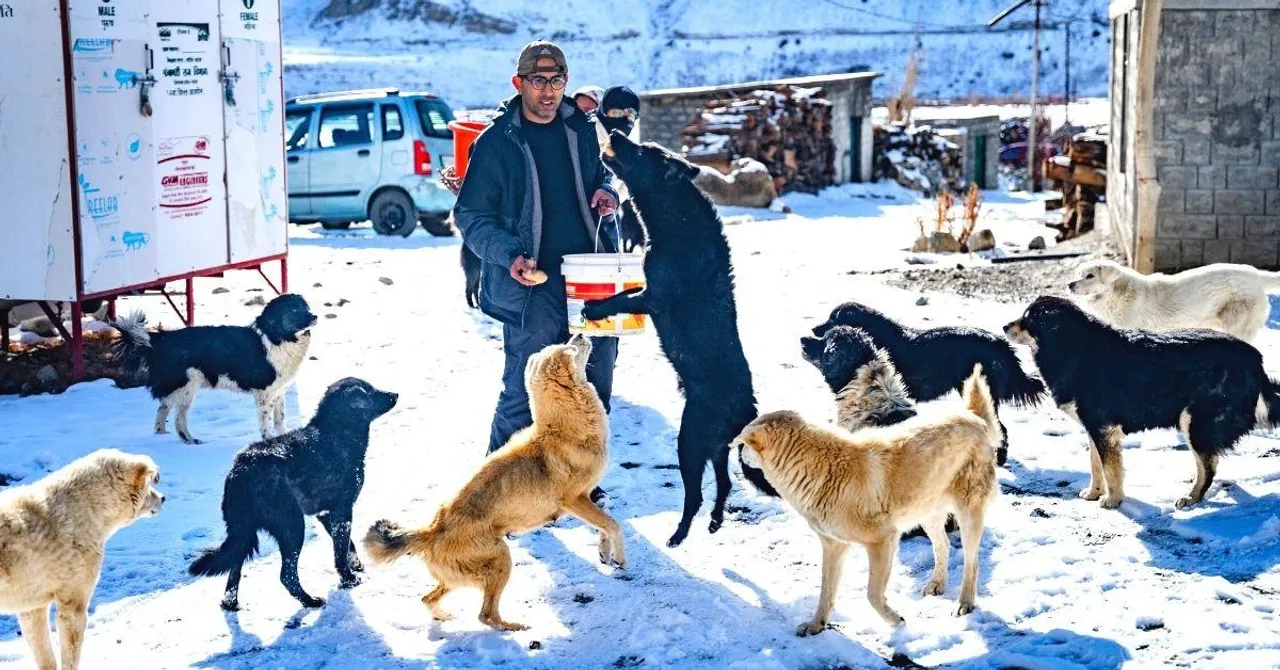 400 Dogs Fed Every Day: Behind One Farm’s Mission To Protect The Strays Of Spiti