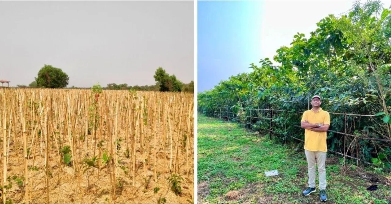 IAS Officer Converts Dumpyard Into City’s Green Lungs With 60,000 Trees in Just a Year