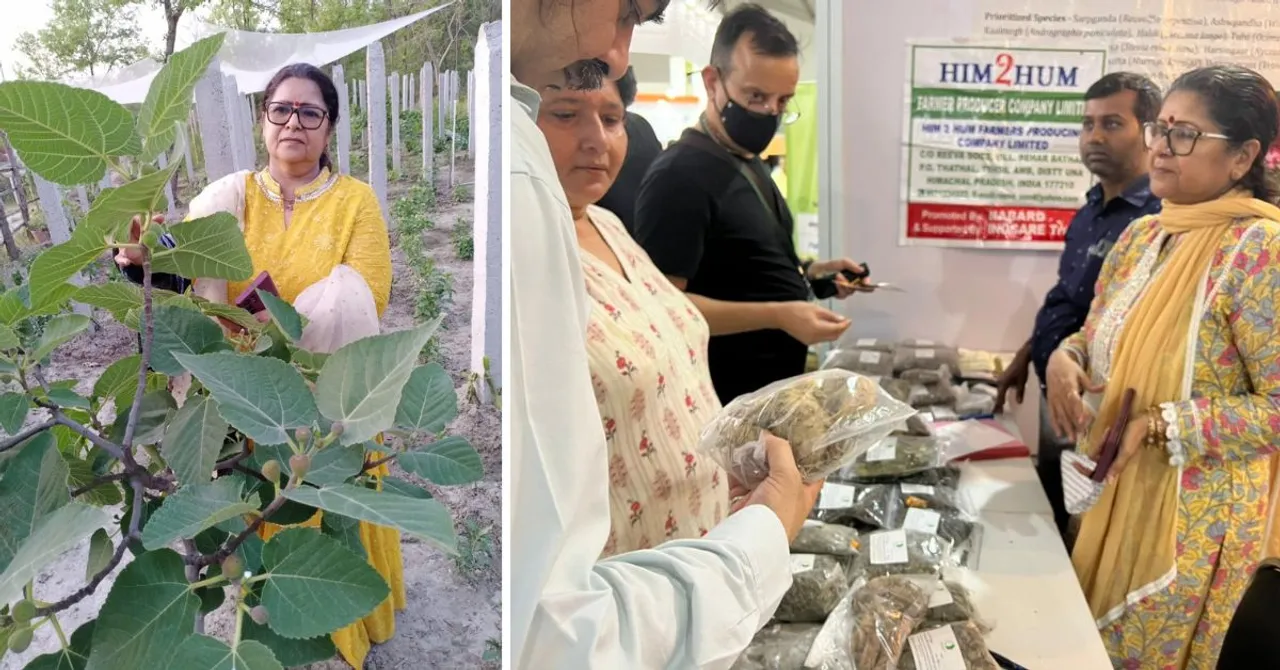 Woman Grows Black Wheat & ‘Sarpagandha’ On Unique Organic Farm, Uplifts Village Women