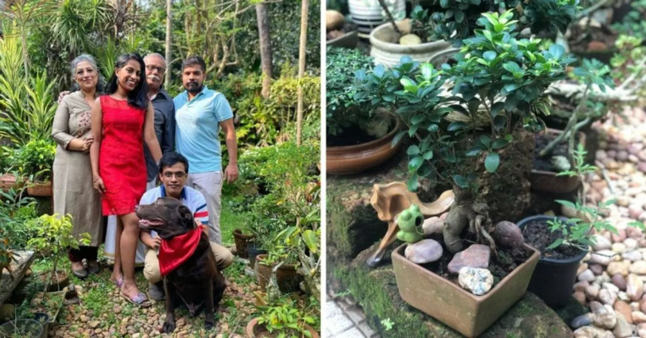 ‘Mother’ to 225 Bonsai Shares Tips on How to Grow Miniature Trees in Pot