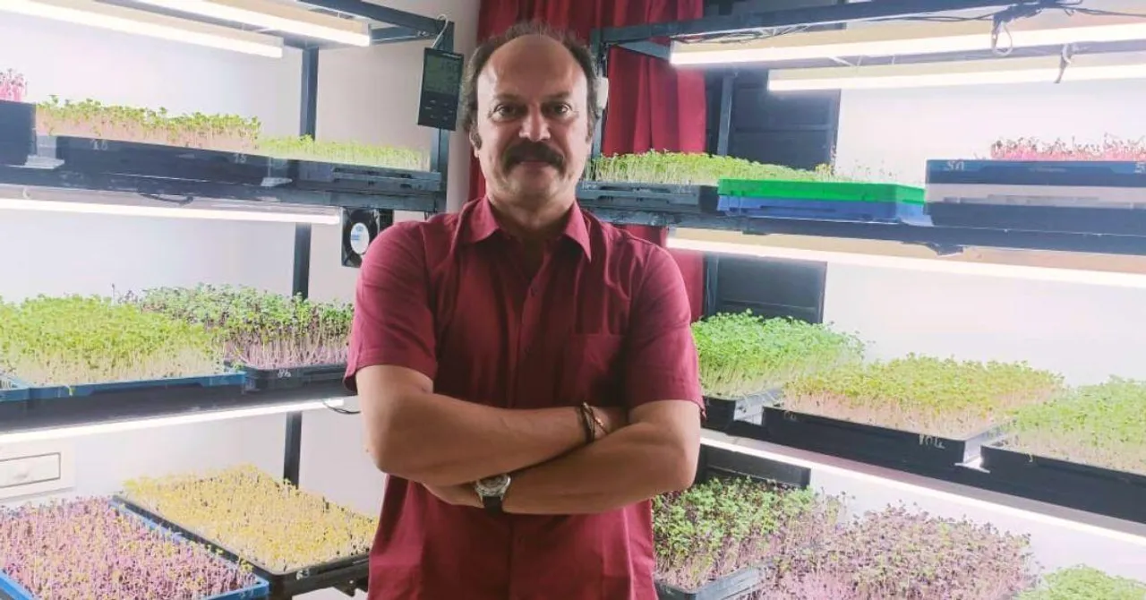How I Grow Microgreens in My Room & Earn Rs 3 Lakh/Month: Kerala Man Shares Tips