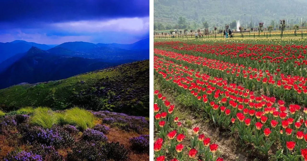 8 Breathtaking Flower Festivals Across India to Visit & Experience This Summer