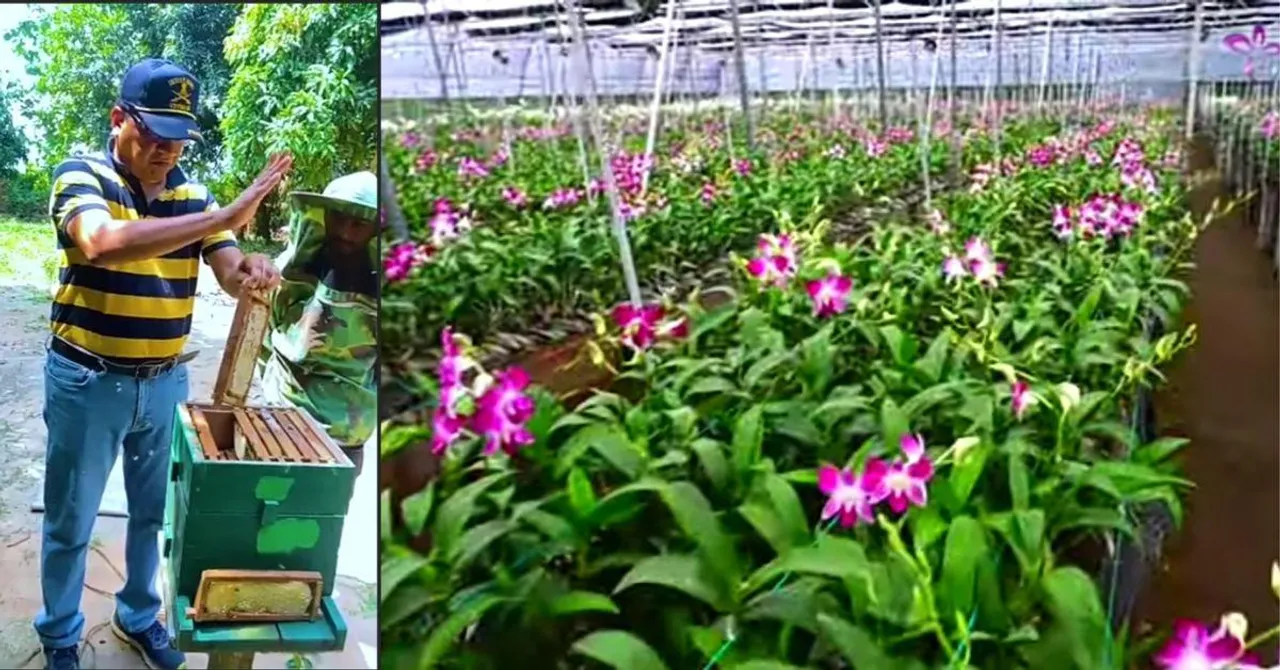 ‘Toured Across India To Learn From Farmers’: How a Retd Colonel Found Passion in Orchid Farming