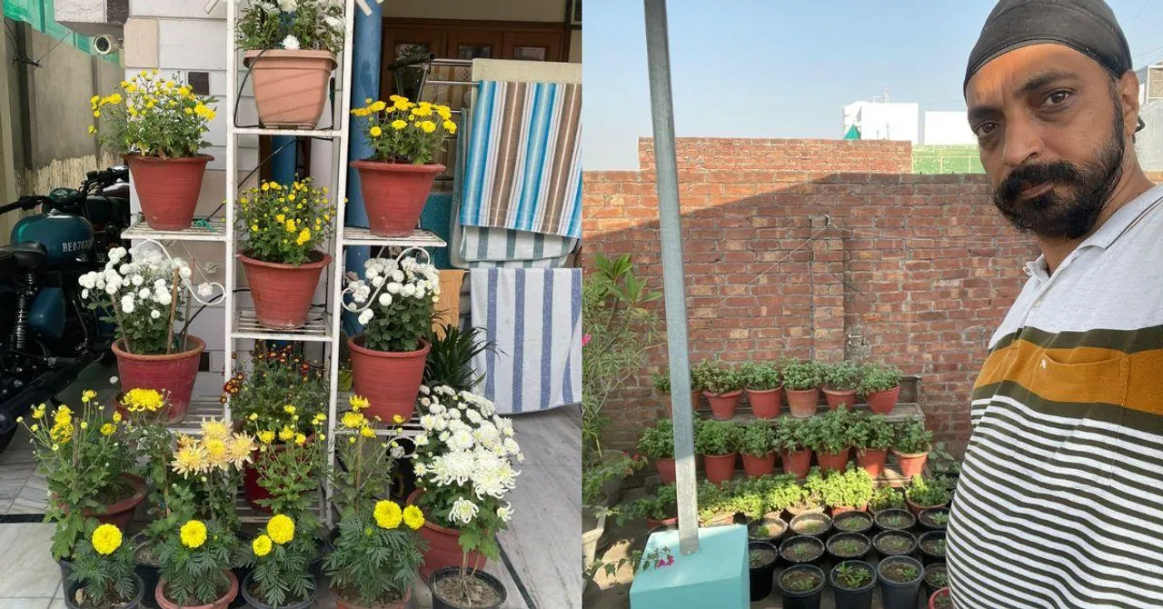 'Good Soil Is Key': Amritsar Dentist Shows How He Grows 800 Plants At Home & Clinic