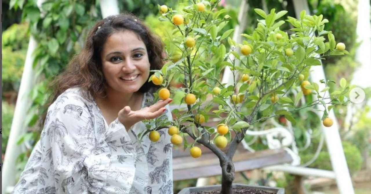 I Grew an Urban Jungle at Home While Juggling a Full-Time Job