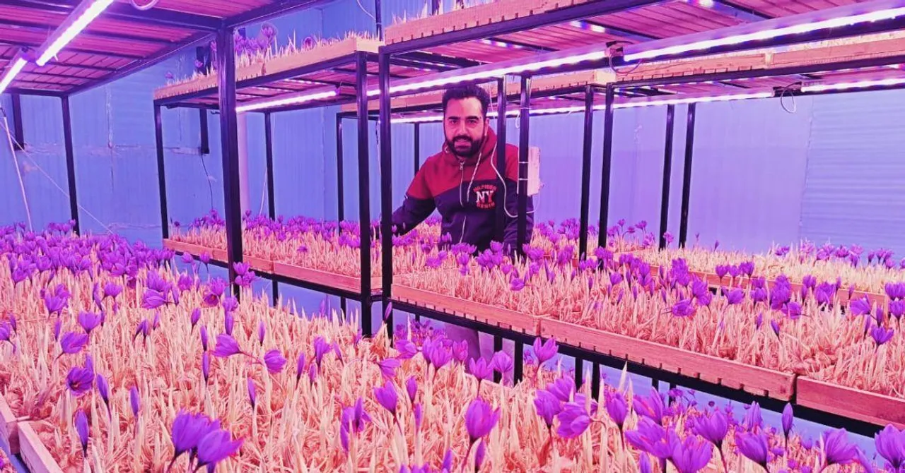 Having Used The Internet to Learn, I Now Grow Saffron From Air