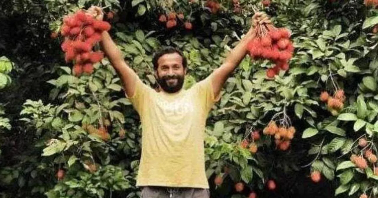 'I Live In a Resort Every Day': Man Quits Corporate Career For Farming Fruits & Spices, Earns Lakhs