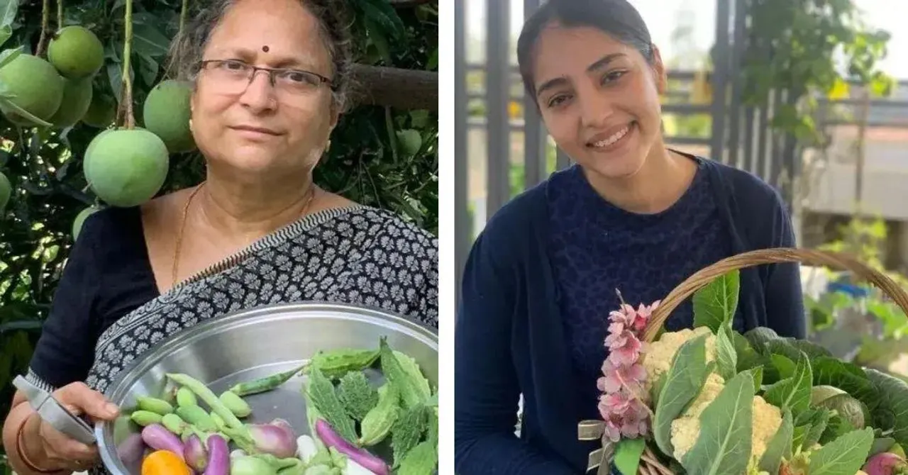 How To Grow Everything From Turmeric to Strawberries at Home? 5 Terrace Gardeners Share