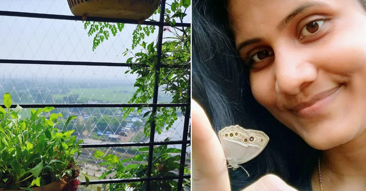 How I Turned My Small Balcony into a Flourishing Butterfly Garden