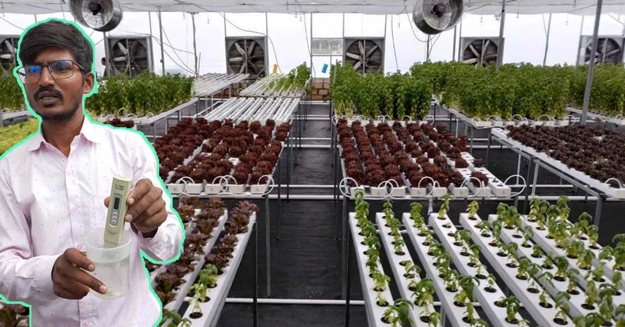 Teacher Gave Up Govt Job to Become a Farmer; Gives Free Hydroponics Training to 5000 People