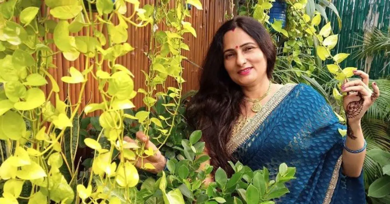 How To Grow Grapes At Home? Gardener Shares 10 Tips to Grows The Fruits In Containers