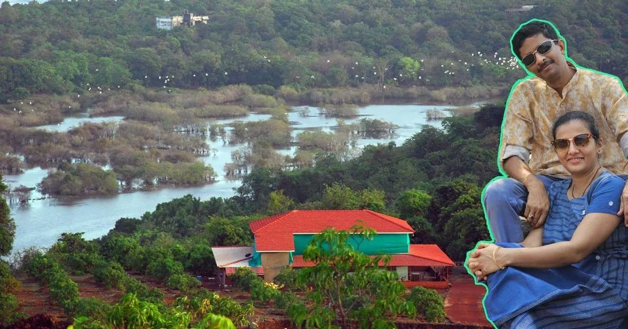 How I Started a Farmstay With 2000 Alphonso Mango Trees