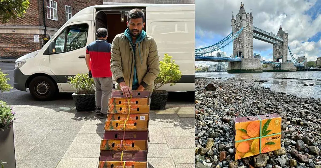 Aamoré: How 300 Small Farmers Are Taking Alphonso Mangoes to The World Without Middlemen