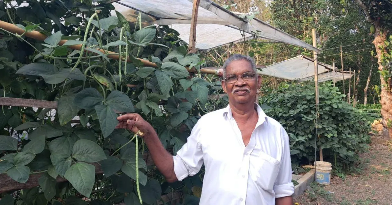 With This Farmer's Patented Grow Bags, You Don't Need to Worry About Watering Your Plants