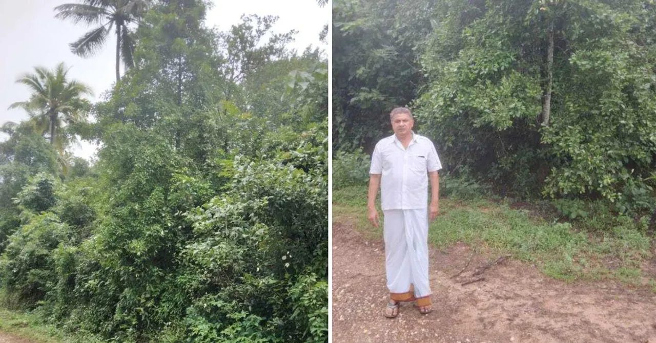 Saving Kokum: Why a Family Spent 15 Years Growing 10000 Kokum Trees & Distributed 2 Lakh Saplings