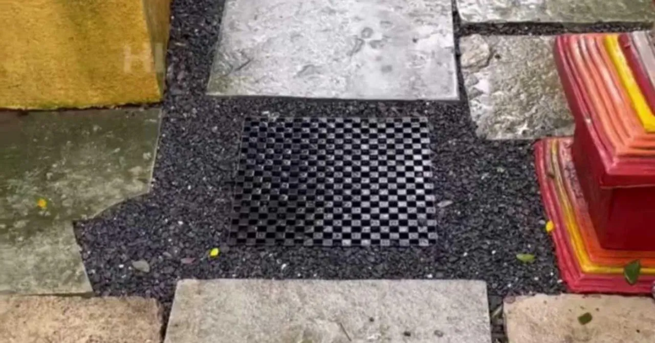 Watch: How a Simple Installation Around Your Apartment or House Can Recharge Groundwater