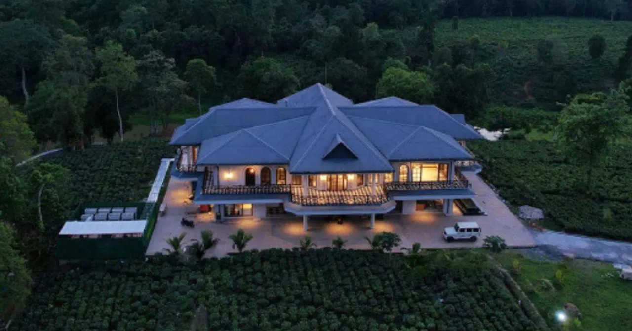 A Chai Lover's Dream Vacation: The Ultimate Guide to India's Best Tea Plantation Homestays