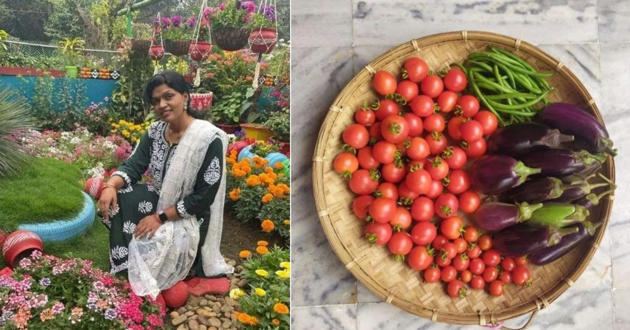 Monsoon Is the Perfect Season To Grow These 5 Vegetables at Home; Learn How From a Gardener