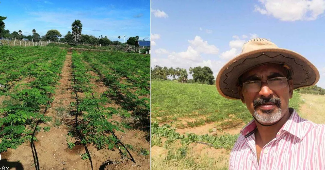 Scientist Quits Job for Organic Farming with Moringa Leaves and Launches Profitable Venture